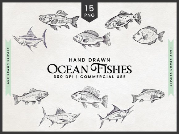 Download Hand Drawn Ocean Fishes Clipart Bundle - Premium Bundle